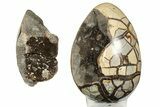 Polished Septarian Dragon Egg Geode - Removable Section #191395-3